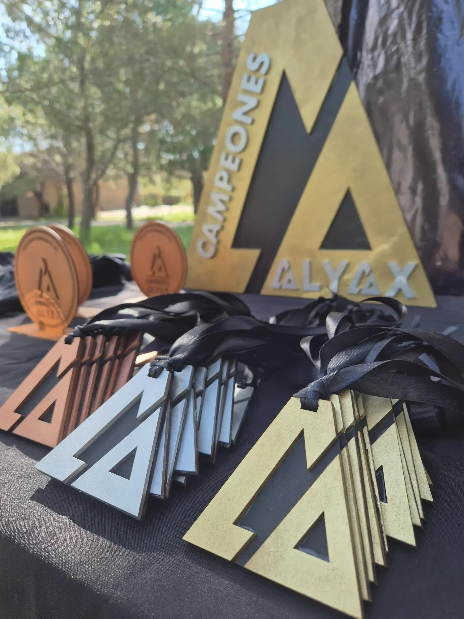 Trofeos y medallas de los equipos campeones de ALYAX